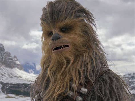 chewie chewbacca|More.